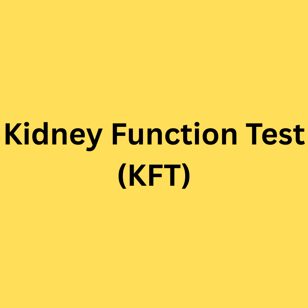 4 Kindey Function Test (KFT) - Image 1
